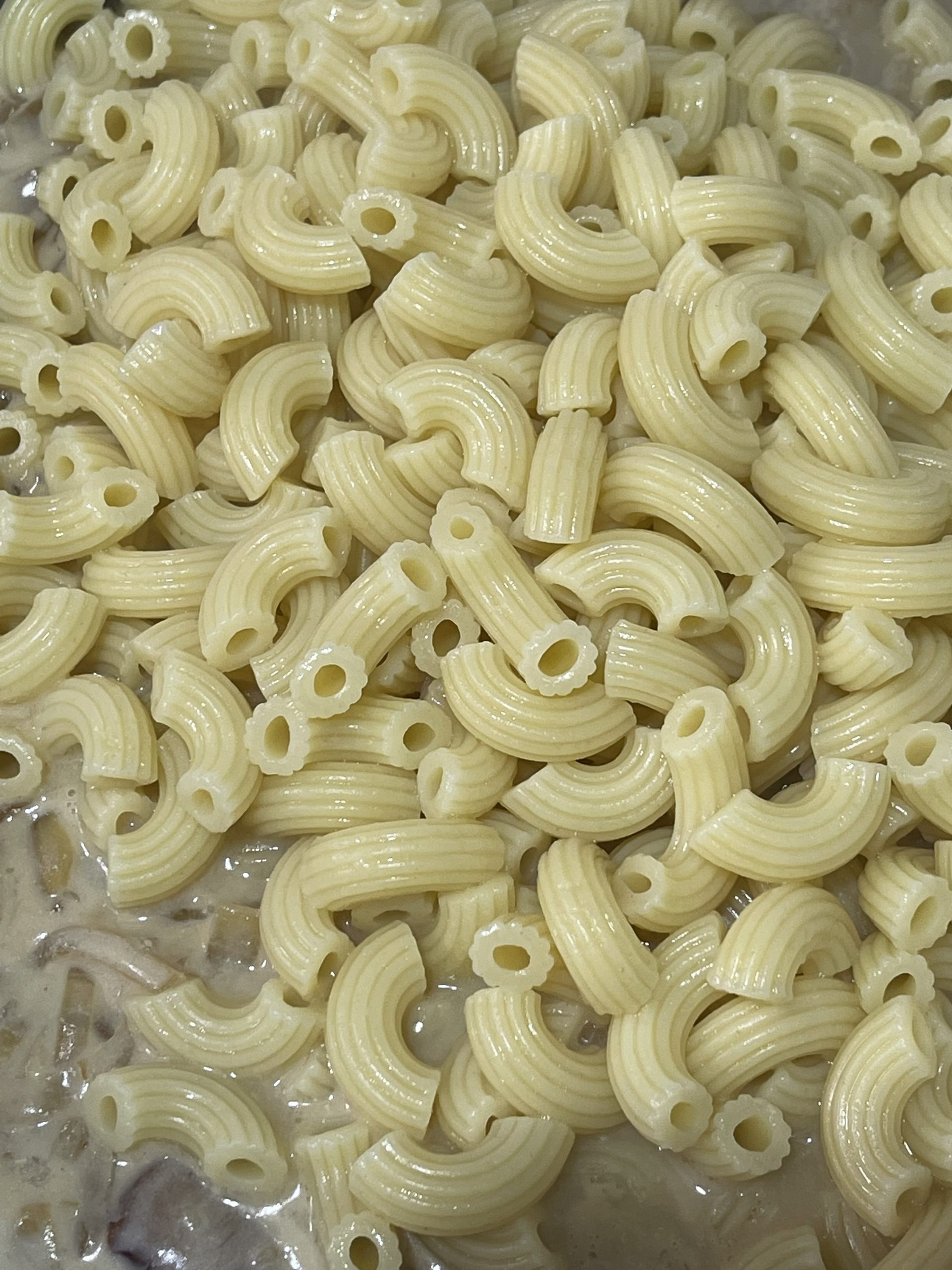 cooked noodles added to baking dish with sauce.