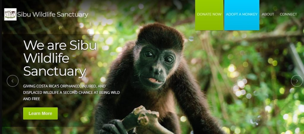 A screenshot of Sibu Sanctuary homepage with a photo of a monkey against the backdrop of the jungle.