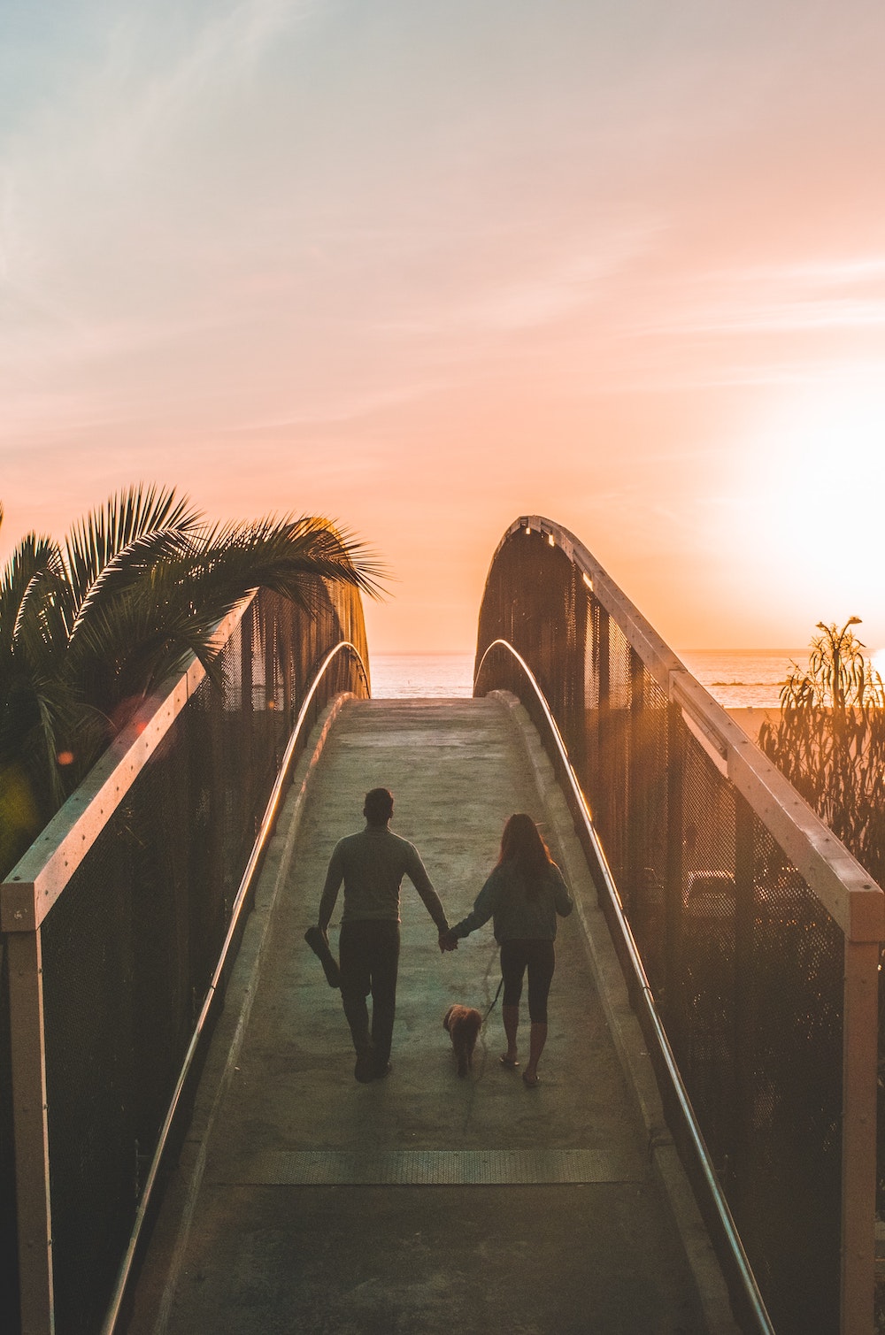 A man and a woman are holding hands and walking a dog. They are crossing a bridge toward the sunset and the sky is pink.