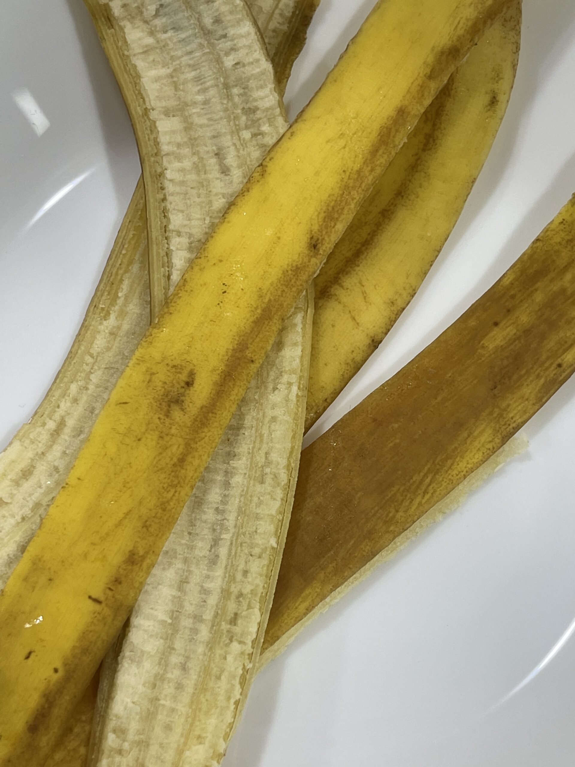 banana peels on a white plate