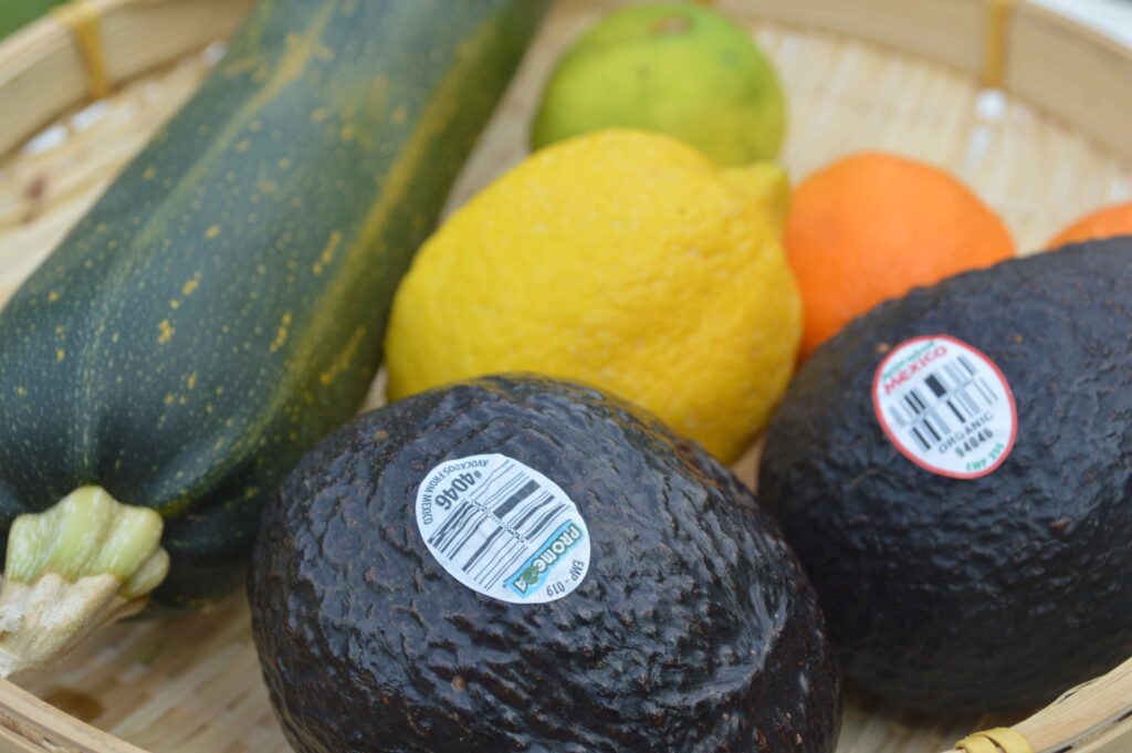 Zucchini, citrus, and Mexican-grown avocado arranged in a wicker basket.