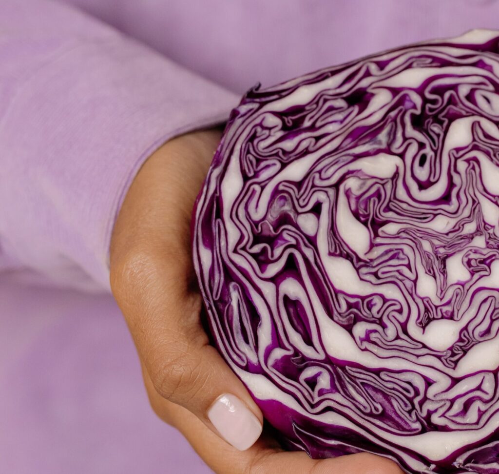 person holding red cabbage