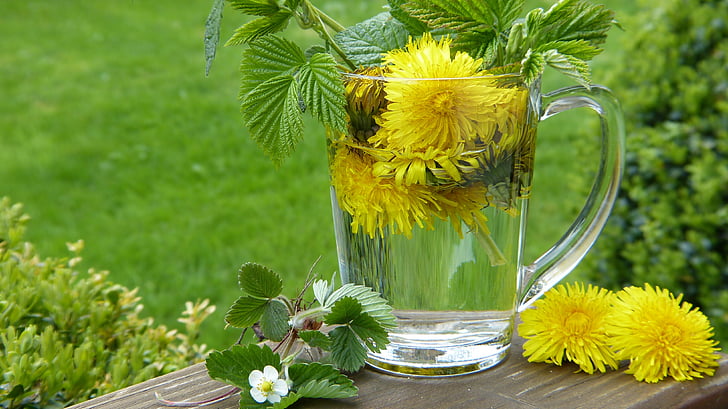 Yellow_Dandelions_in_a_Clear_Cup_on_a_Wooden_Table_with_a_Green_Background