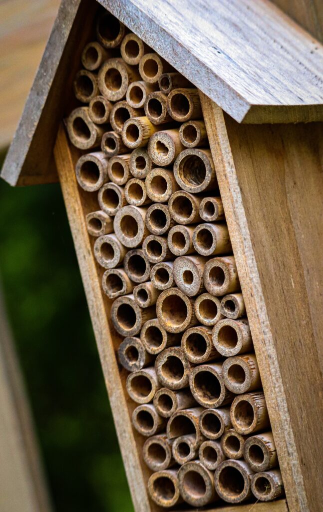 a bee hotel made of wooden straws. 