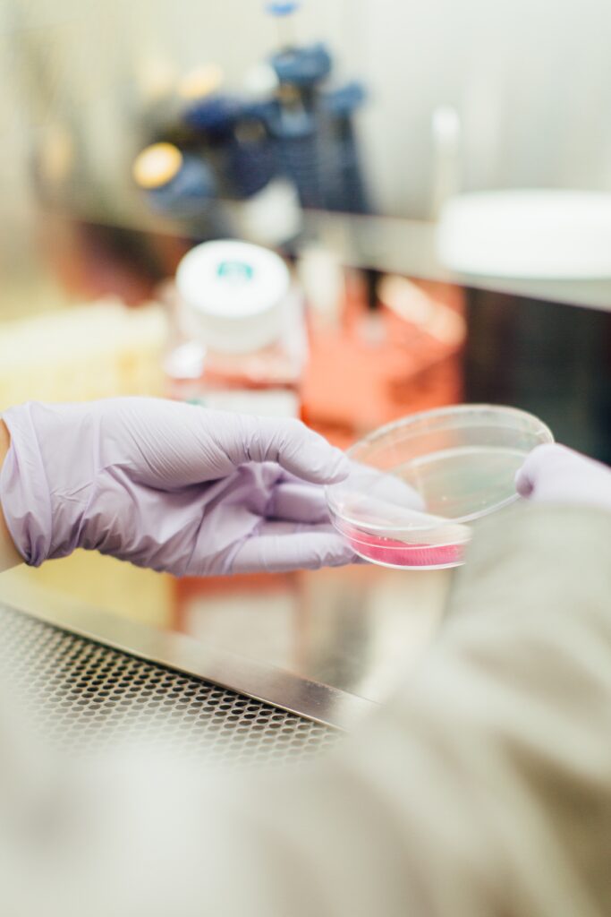 lab grown meat being prepared in a petri dish