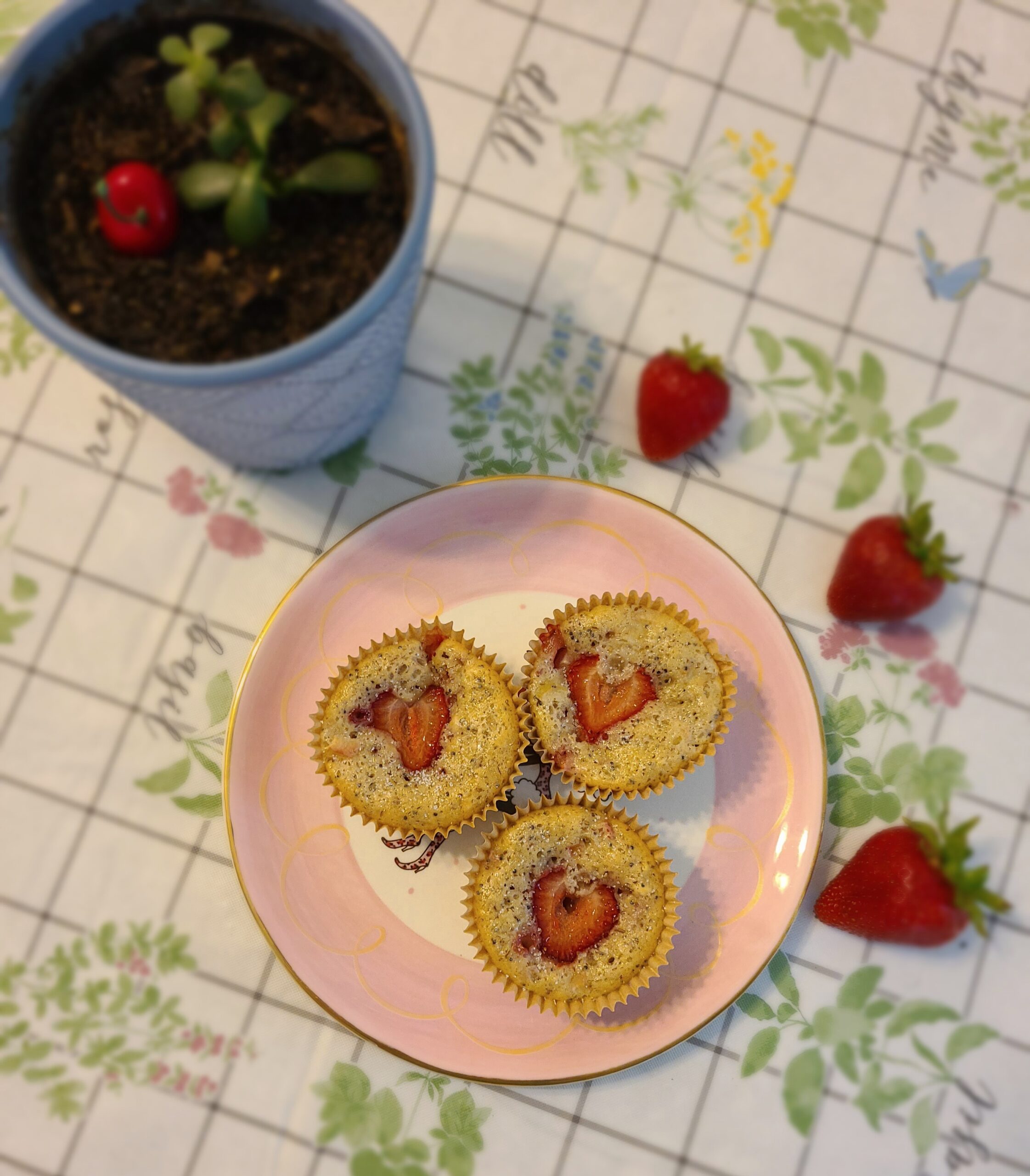 three vegan strawberry rhubarb muffins on a pink plate next to strawberries and a small plant