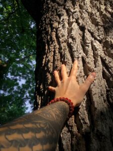 A forearm and hand, reaching out and touching a tree trunk, leaves and blue sky visible 