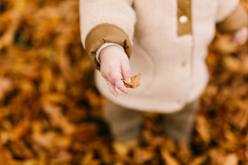 child holding a fall leaf